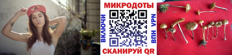 купить наркотик  даркнет формула  Галлюциногенные грибы GOLDEN TEACHER  Нурлат 