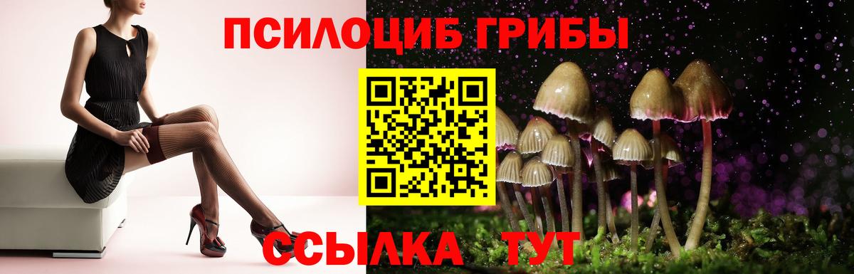 Псилоцибиновые грибы Cubensis Нурлат
